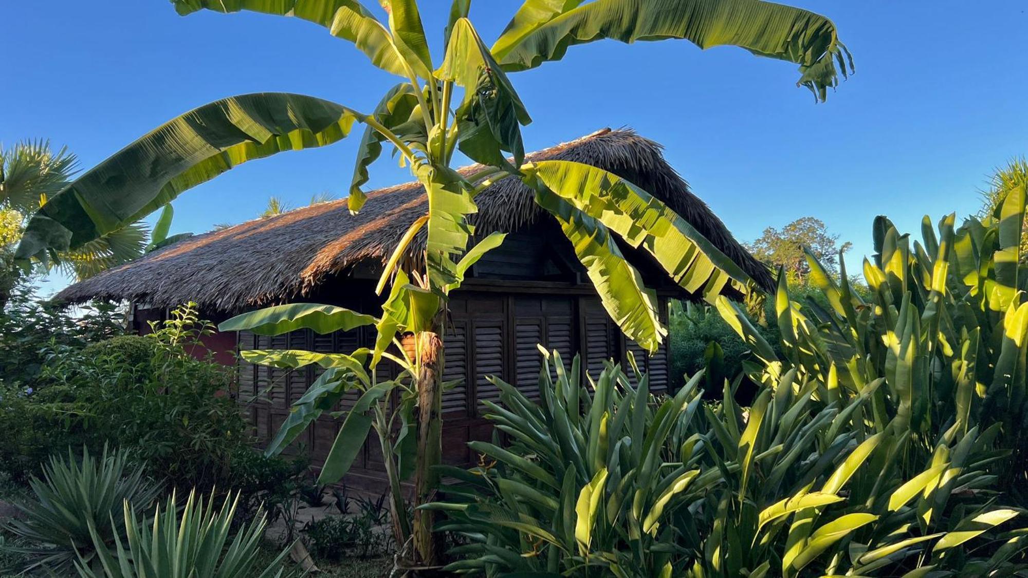 Manga Soa Lodge Fascene - Befefika Exterior foto