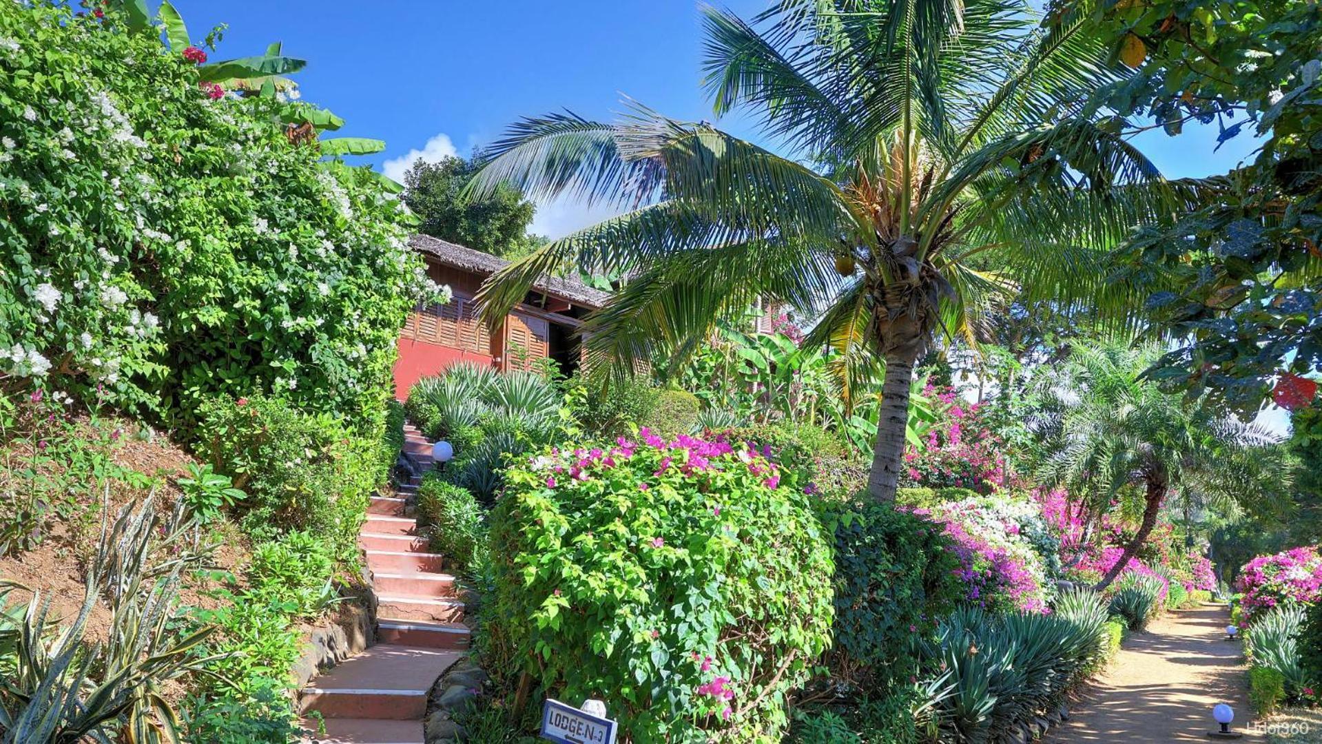Manga Soa Lodge Fascene - Befefika Exterior foto